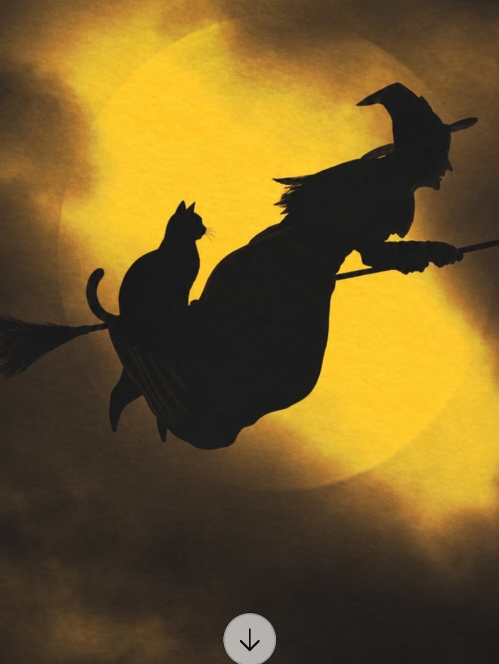 It's Coming... Halloween 2026 Cat Show